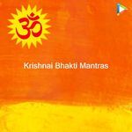 Krishnai Bhakti Mantras - MBPatil Song Download