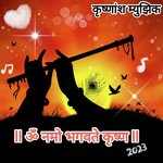 Om Namo Bhagavate Krishna - MBPatil Song Download
